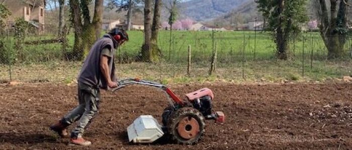 Travail du sol au motoculteur